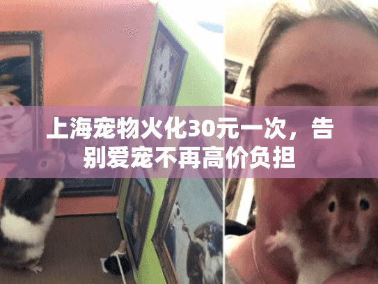 上海宠物火化30元一次，告别爱宠不再高价负担