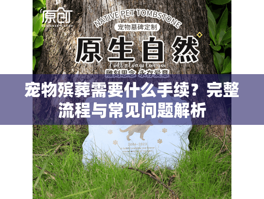 宠物殡葬需要什么手续？完整流程与常见问题解析
