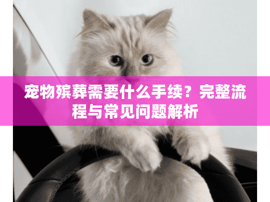 宠物殡葬需要什么手续？完整流程与常见问题解析