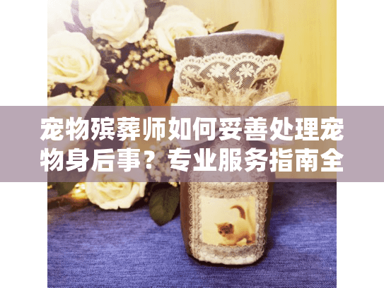 宠物殡葬师如何妥善处理宠物身后事？专业服务指南全解析