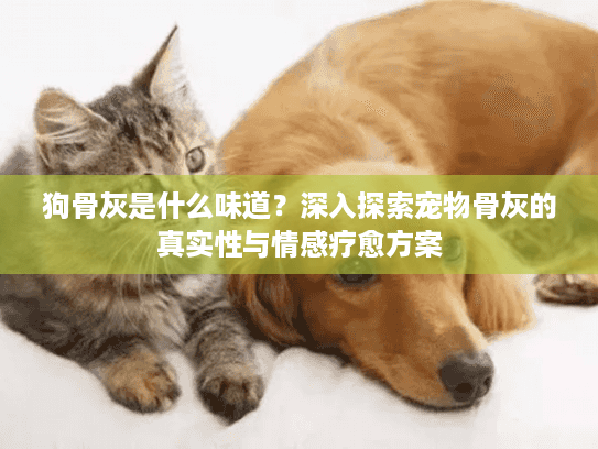 狗骨灰是什么味道？深入探索宠物骨灰的真实性与情感疗愈方案
