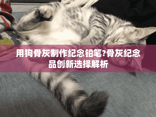 用狗骨灰制作纪念铅笔?骨灰纪念品创新选择解析