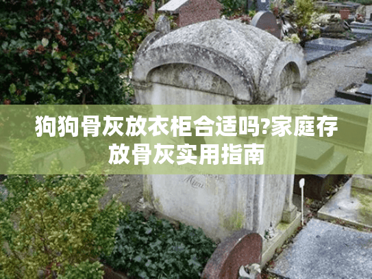 狗狗骨灰放衣柜合适吗?家庭存放骨灰实用指南