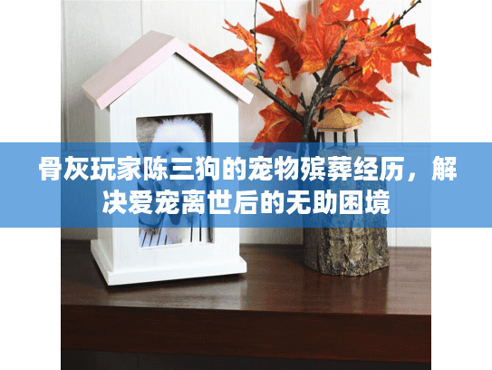 骨灰玩家陈三狗的宠物殡葬经历，解决爱宠离世后的无助困境