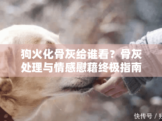 狗火化骨灰给谁看？骨灰处理与情感慰藉终极指南
