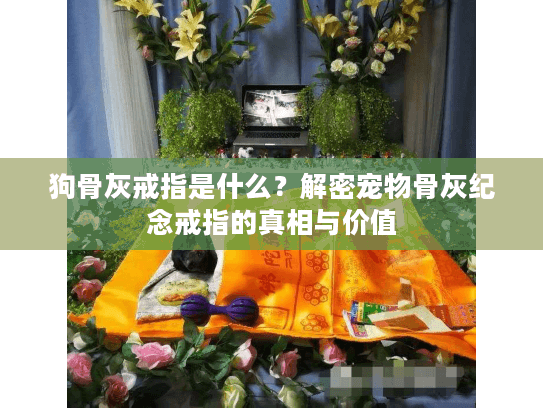 狗骨灰戒指是什么？解密宠物骨灰纪念戒指的真相与价值