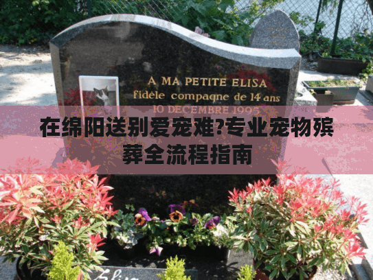 在绵阳送别爱宠难?专业宠物殡葬全流程指南