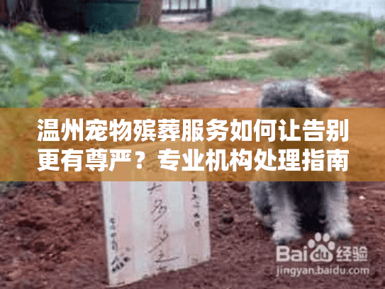 温州宠物殡葬服务如何让告别更有尊严？专业机构处理指南