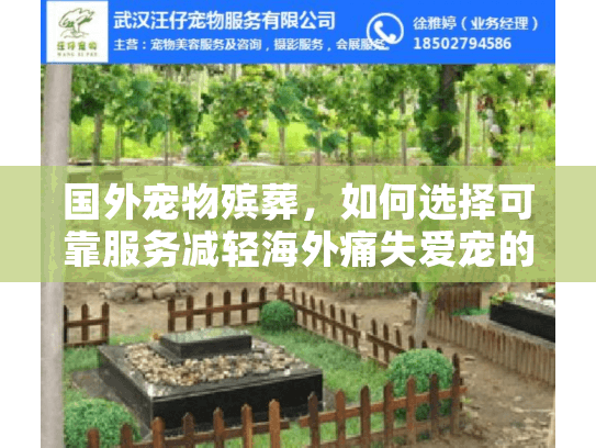 国外宠物殡葬，如何选择可靠服务减轻海外痛失爱宠的煎熬