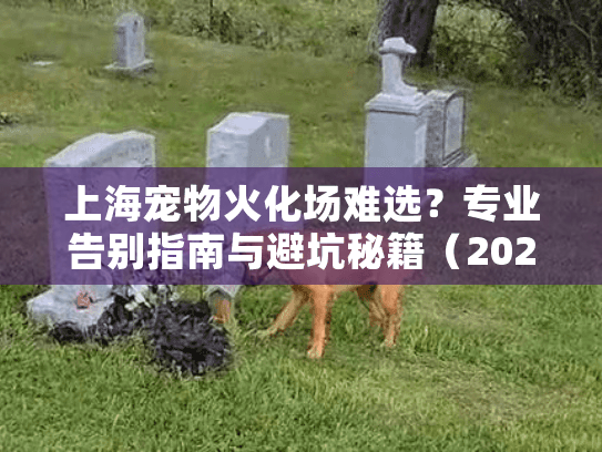 上海宠物火化场难选？专业告别指南与避坑秘籍（2025实用版）
