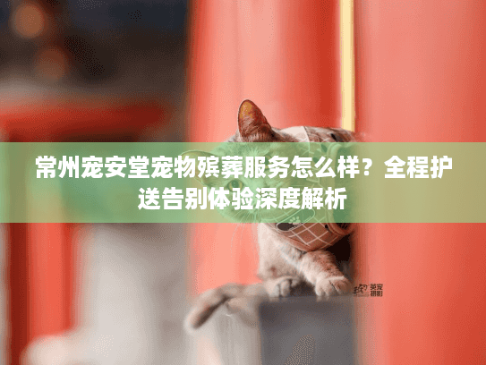 常州宠安堂宠物殡葬服务怎么样？全程护送告别体验深度解析