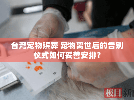 台湾宠物殡葬 宠物离世后的告别仪式如何妥善安排？