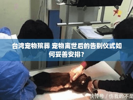台湾宠物殡葬 宠物离世后的告别仪式如何妥善安排？