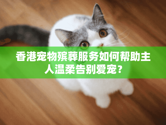 香港宠物殡葬服务如何帮助主人温柔告别爱宠？