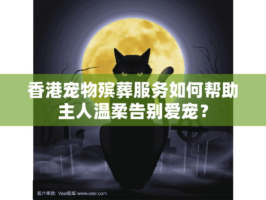 香港宠物殡葬服务如何帮助主人温柔告别爱宠？