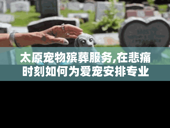 太原宠物殡葬服务,在悲痛时刻如何为爱宠安排专业告别仪式?