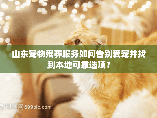 山东宠物殡葬服务如何告别爱宠并找到本地可靠选项？