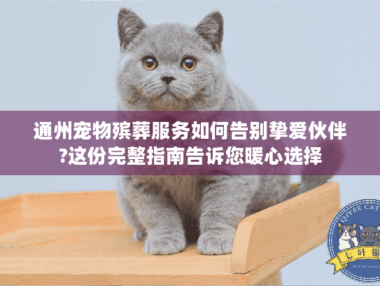 通州宠物殡葬服务如何告别挚爱伙伴?这份完整指南告诉您暖心选择