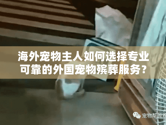 海外宠物主人如何选择专业可靠的外国宠物殡葬服务？