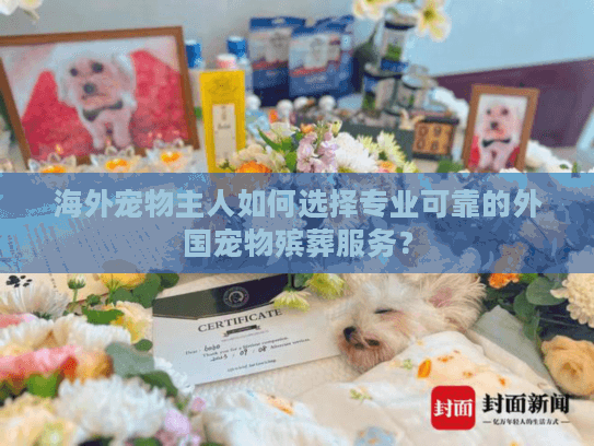 海外宠物主人如何选择专业可靠的外国宠物殡葬服务？