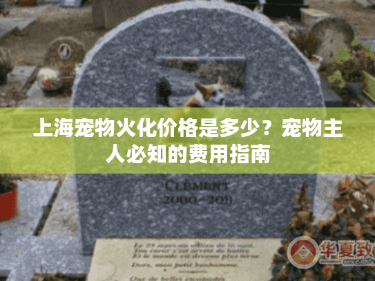 上海宠物火化价格是多少？宠物主人必知的费用指南
