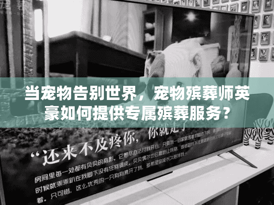 当宠物告别世界，宠物殡葬师英豪如何提供专属殡葬服务？