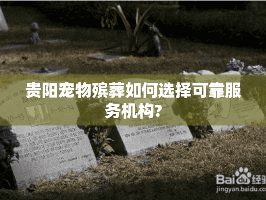 贵阳宠物殡葬如何选择可靠服务机构?