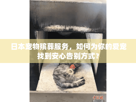 日本宠物殡葬服务，如何为你的爱宠找到安心告别方式？