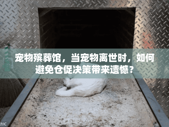 宠物殡葬馆，当宠物离世时，如何避免仓促决策带来遗憾？