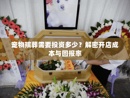 宠物殡葬需要投资多少？解密开店成本与回报率