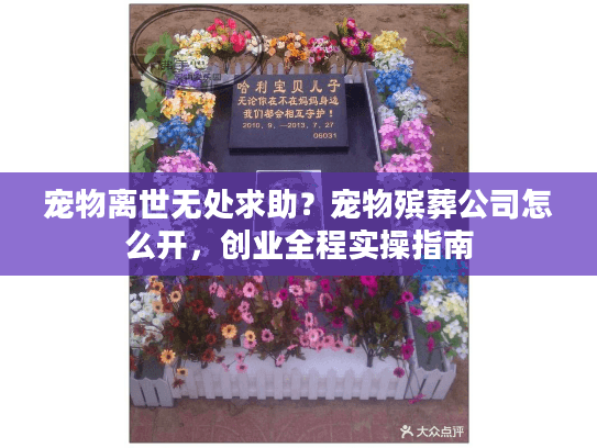 宠物离世无处求助？宠物殡葬公司怎么开，创业全程实操指南