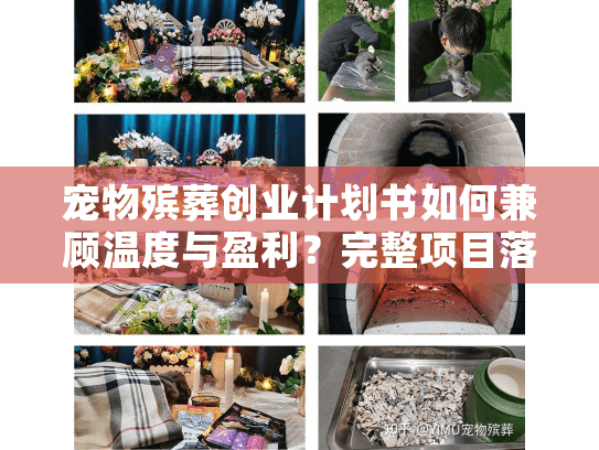 宠物殡葬创业计划书如何兼顾温度与盈利？完整项目落地指南