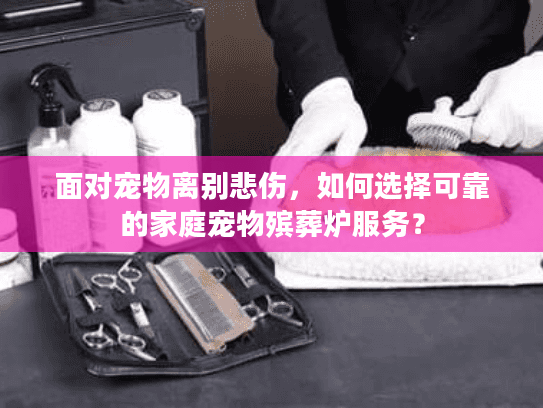 面对宠物离别悲伤，如何选择可靠的家庭宠物殡葬炉服务？