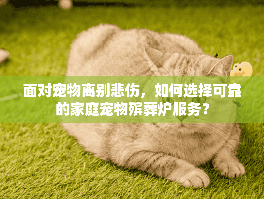 面对宠物离别悲伤，如何选择可靠的家庭宠物殡葬炉服务？
