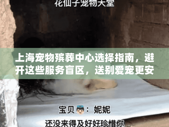 上海宠物殡葬中心选择指南，避开这些服务盲区，送别爱宠更安心