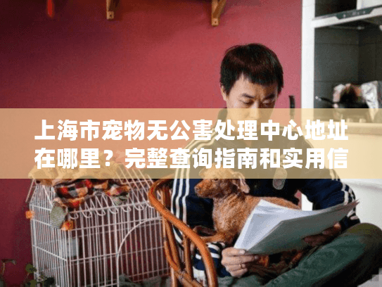 上海市宠物无公害处理中心地址在哪里？完整查询指南和实用信息