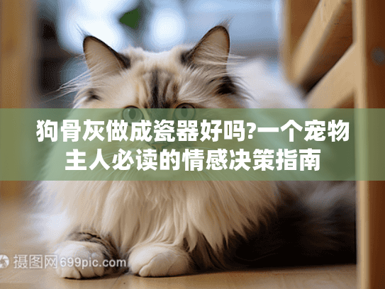狗骨灰做成瓷器好吗?一个宠物主人必读的情感决策指南