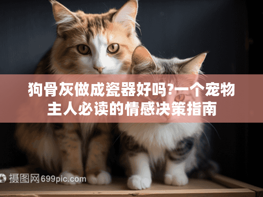 狗骨灰做成瓷器好吗?一个宠物主人必读的情感决策指南