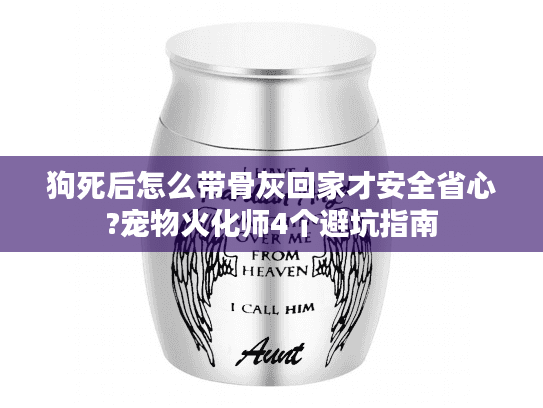 狗死后怎么带骨灰回家才安全省心?宠物火化师4个避坑指南