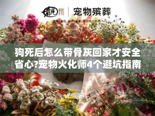 狗死后怎么带骨灰回家才安全省心?宠物火化师4个避坑指南