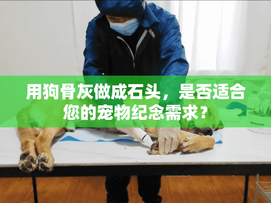 用狗骨灰做成石头，是否适合您的宠物纪念需求？