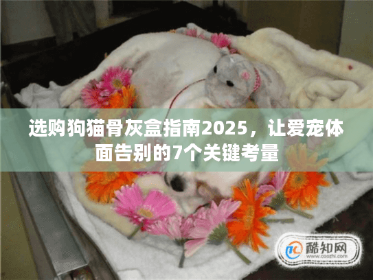 选购狗猫骨灰盒指南2025，让爱宠体面告别的7个关键考量
