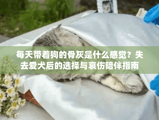 每天带着狗的骨灰是什么感觉？失去爱犬后的选择与哀伤陪伴指南