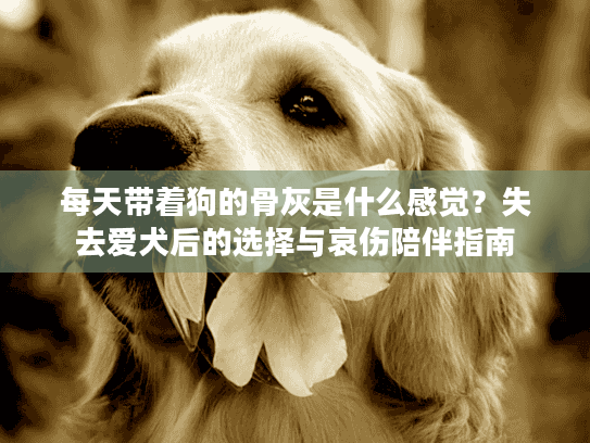 每天带着狗的骨灰是什么感觉？失去爱犬后的选择与哀伤陪伴指南