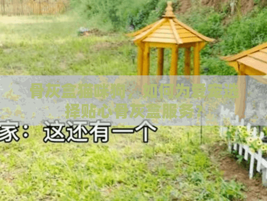骨灰盒猫咪狗，如何为爱宠选择贴心骨灰盒服务？