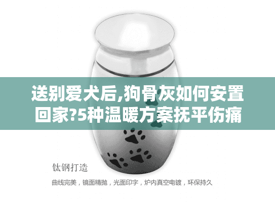 送别爱犬后,狗骨灰如何安置回家?5种温暖方案抚平伤痛