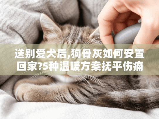 送别爱犬后,狗骨灰如何安置回家?5种温暖方案抚平伤痛