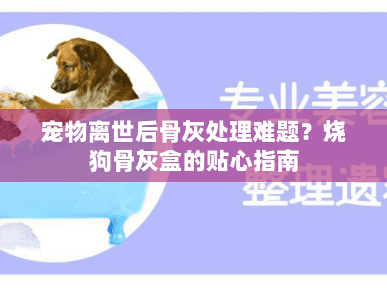 宠物离世后骨灰处理难题？烧狗骨灰盒的贴心指南