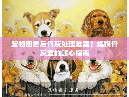 宠物离世后骨灰处理难题？烧狗骨灰盒的贴心指南