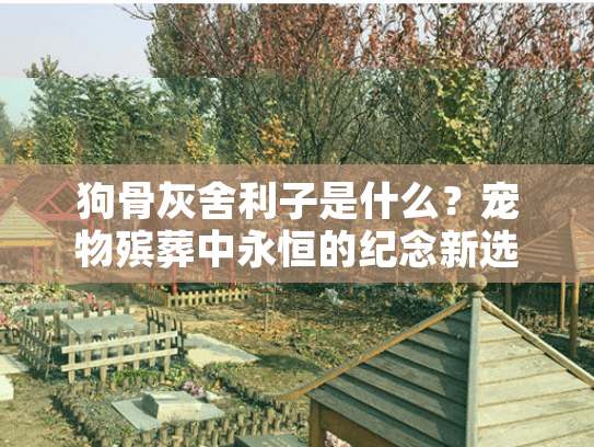 狗骨灰舍利子是什么？宠物殡葬中永恒的纪念新选择